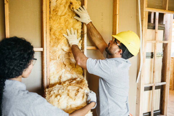 Insulation Replacement Services in Twin Rivers, NJ