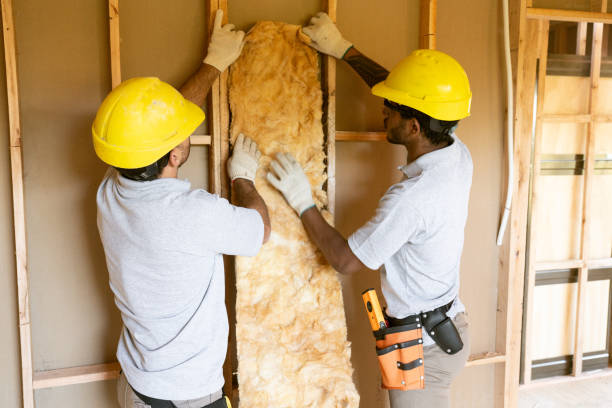 Best Cellulose Insulation  in Twin Rivers, NJ